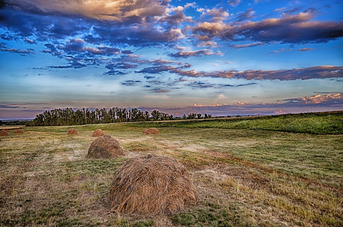 Стоги сена в поле. Что такое поле со. Сноп пшеницы. Что такое поле со. Скирда омёт копна.