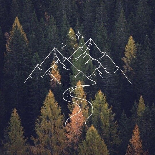 история начинается