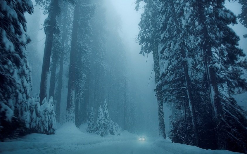  — Мозг человека запоминает всё. Вообще всё. Начиная с рождения. Мозг  закладывает в память и звуки, и цвета, и формы, и запахи, и осязание, и  чувства - в общем, всё, что встречает на своем пути. Причем это  запоминание происходит независимо от вашей воли. Даже если вы не хотите,  мозг всё равно будет запоминать. Потенциал мозга по  запоминанию настолько огромен, что даже если каждую секунду мозгу давать  один объем информации, то всей жизни человека не хватит, чтобы  наполнить мозг. 
Если бы мозг не запомнил что-то, вы бы не знали о  том, что вы это забыли. То есть забыть можно только то, что запомнил  мозг. Но дело в том, что забывает человек, мозг не забывает. Всё, что  попало в мозг, хранится там всегда. Вопрос лишь в том, как достать из  памяти то, что тебе надо в настоящий момент.

Для этого существуют  такие методы как повторение и ассоциации. При повторении  соответствующий участок памяти становится активным и вы им легко  пользуетесь. Чем чаще повторяете, тем дольше длится активность. Функции  повторения выполняются левым полушарием мозга.

Другой метод - это  ассоциации. Это более мощный метод. Суть этого в том, что вы для каждой  единицы информации, которая без вашего участия закладывается в левое  полушарие, создаете ассоциацию с некими образами или чувствами. А эти  образы и чувства объединяете в некую целостную мысль. Эти образы и  чувства сохраняются в правом полушарии мозга, которое отвечает за образы  и чувства. То есть теперь каждая единица информации отображается в  обоих полушариях мозга, плюс к этому объединена мостиком целостной мысли  между левым и правым полушариями. Такую информацию несравненно легче  вспомнить. Например, вам надо запомнить десять слов: атом, яблоко,  молоток, трактор, любовь, книга, диван, поток, поворот, прибыль. Путем  повторения запомнить тяжеловато. И то, это будет на короткий срок. А  если путем ассоциаций, то можно объединить так:
Из атомов состоит  яблоко, которое разбивается молотком, взятым из трактора, любовь к  которому заставляет читать много книг о нем на диване в потоке мыслей,  делая поворот на прибыль.

Пусть эти предложения нелепые, зато вы их запомните на очень долгий срок: месяцы, года. — 