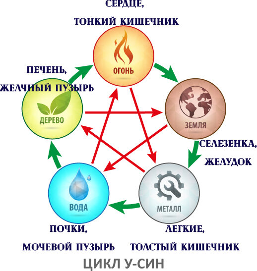 Схема здоровья у син