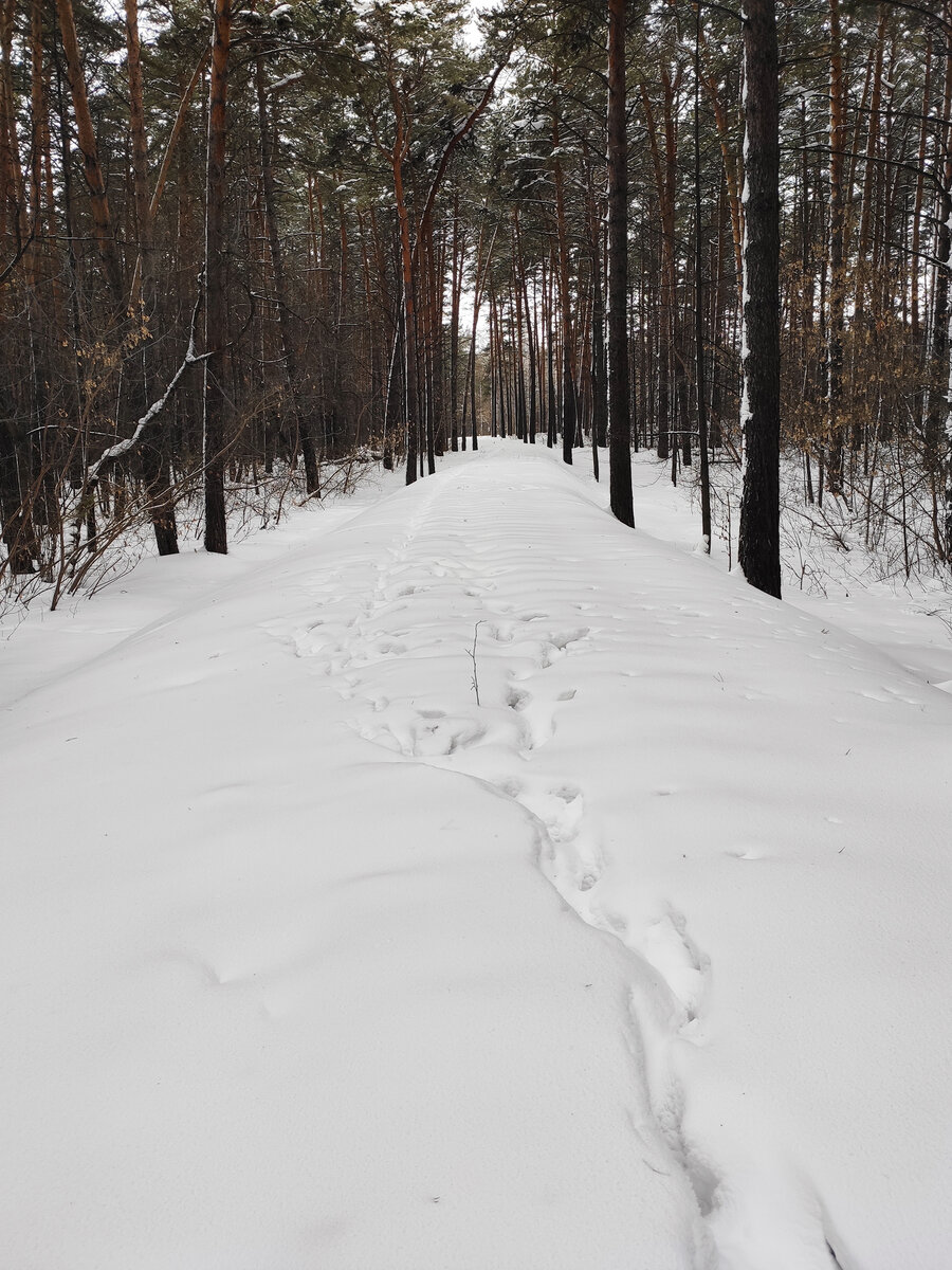 Все, дальше путь не пробит! Разворачиваюсь