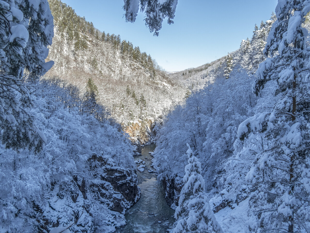 1 февраля 2020 года. Здесь и далее - фото автора. 