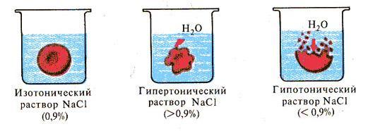 Хронический ринит – симптомы, причины, признаки, диагностика и лечение в «СМ-Клиника»