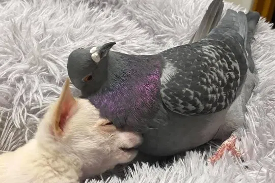 -2