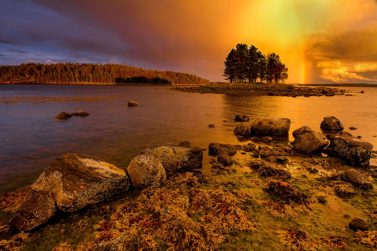 (Фото: Виталий Горшков)