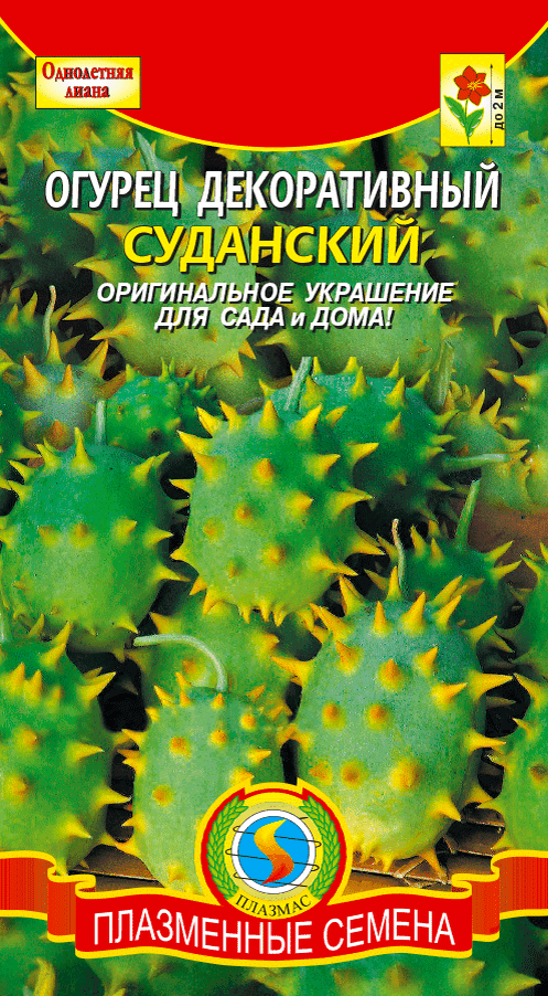 Огурец Суданский