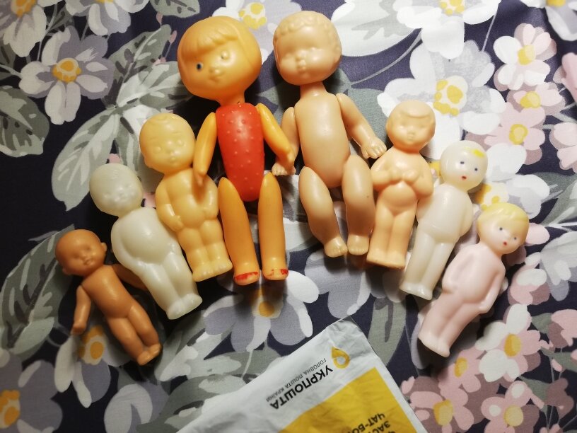 Вот такая  группа пупсов прибыла на ПМЖ