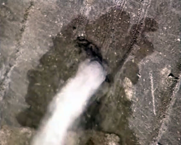 фото с интернета