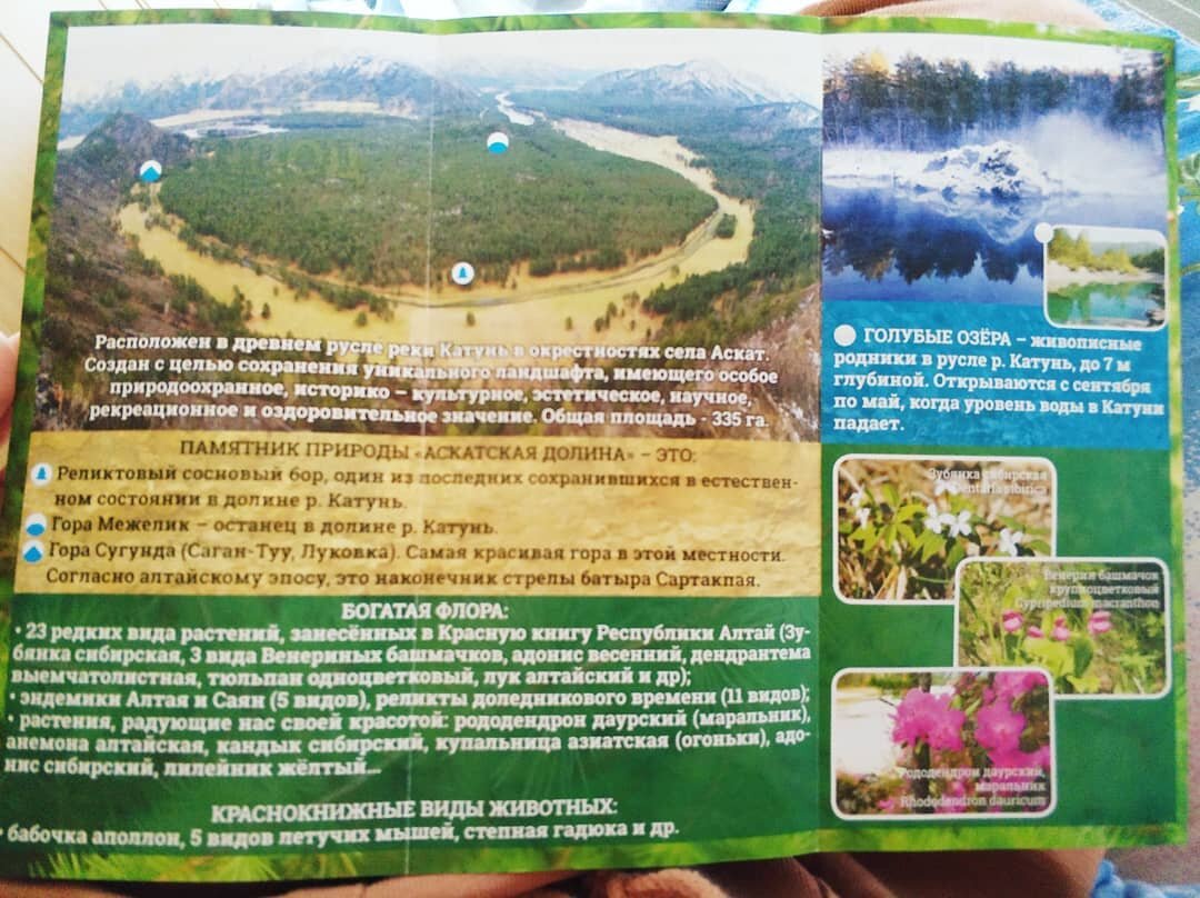 Аскатская Долина горный Алтай