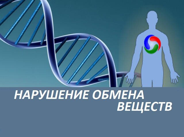 Яндекс картинки