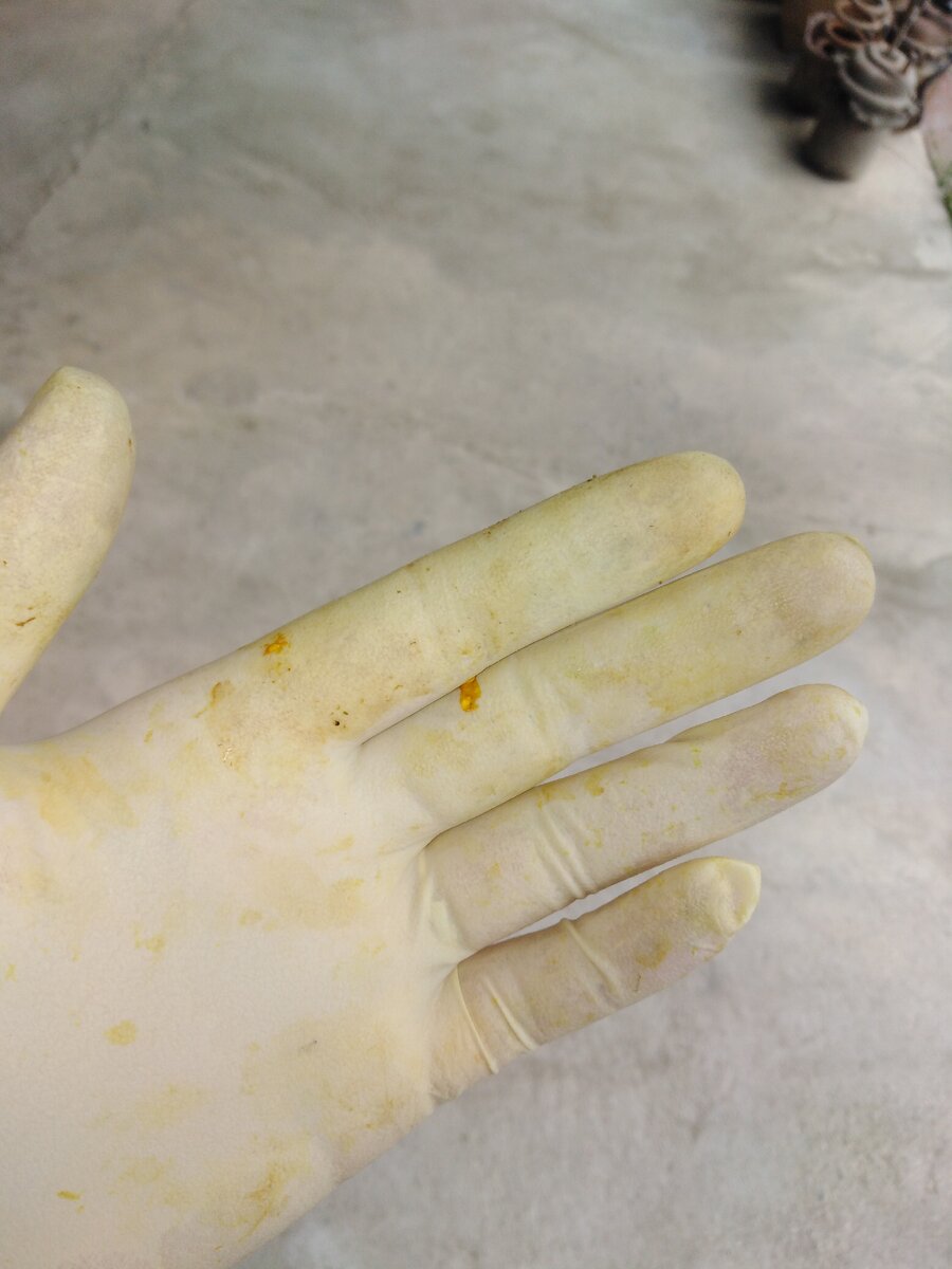 После сбора чистотела перчатки окрасились