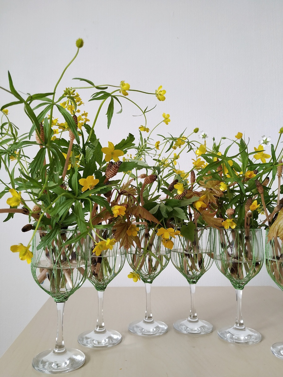 Моя работа в фужерах из лесных растений