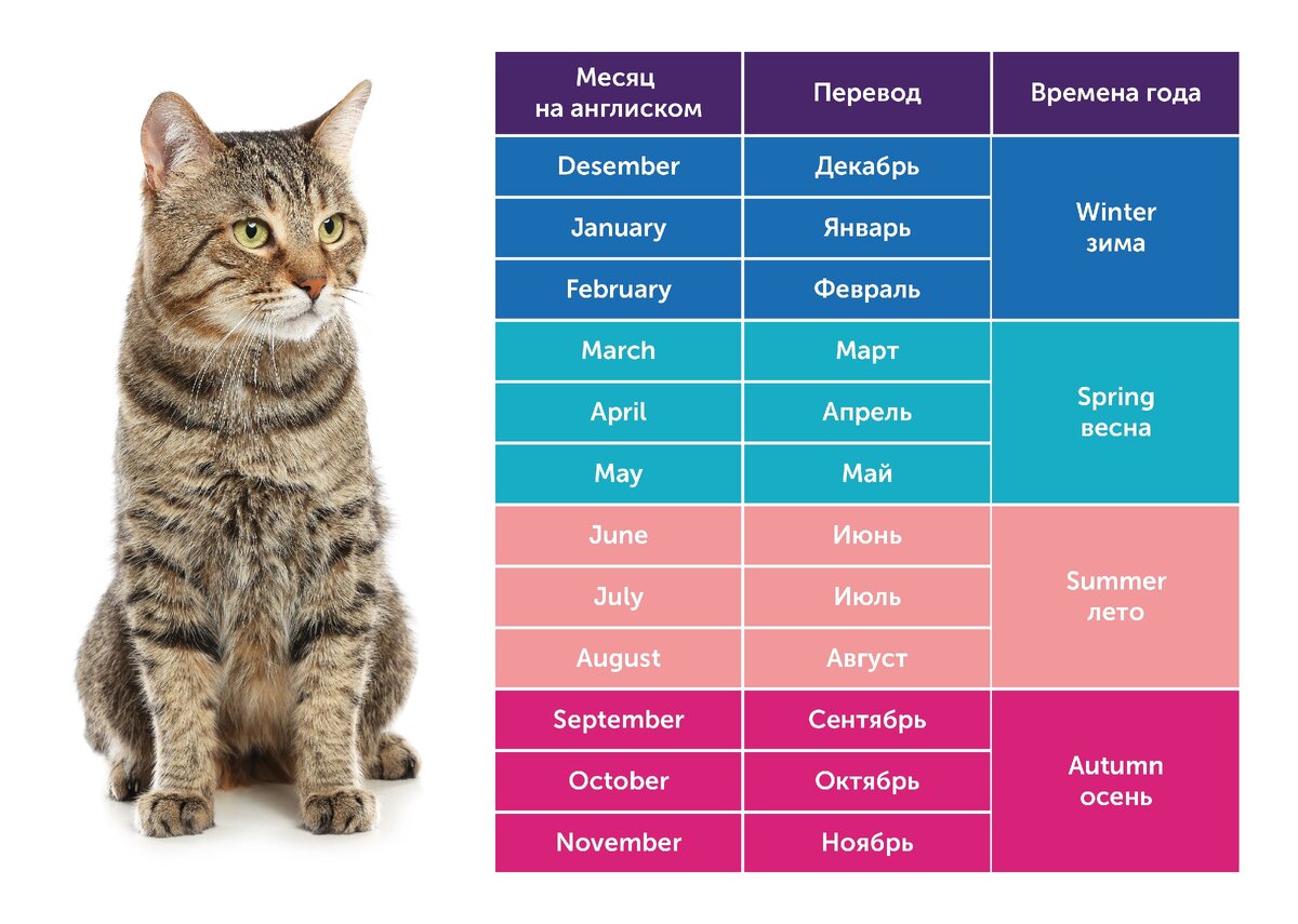 Таблица месяцев в английском языке