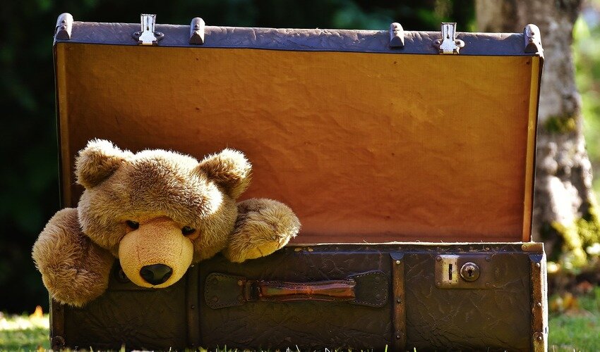 Фото:pixabay.com