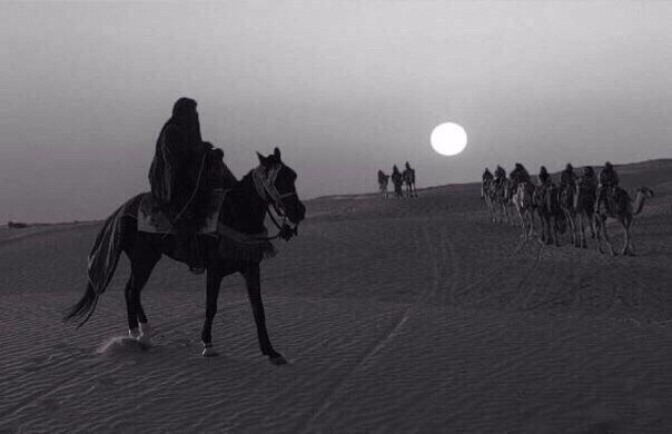 Халид ибн Аль-Валид 
