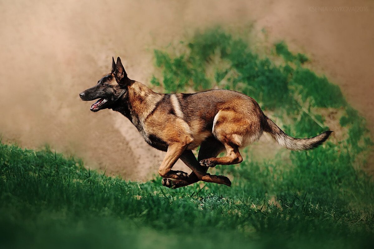 Источник https://www.pinterest.com.mx/pin/95983035787609912/