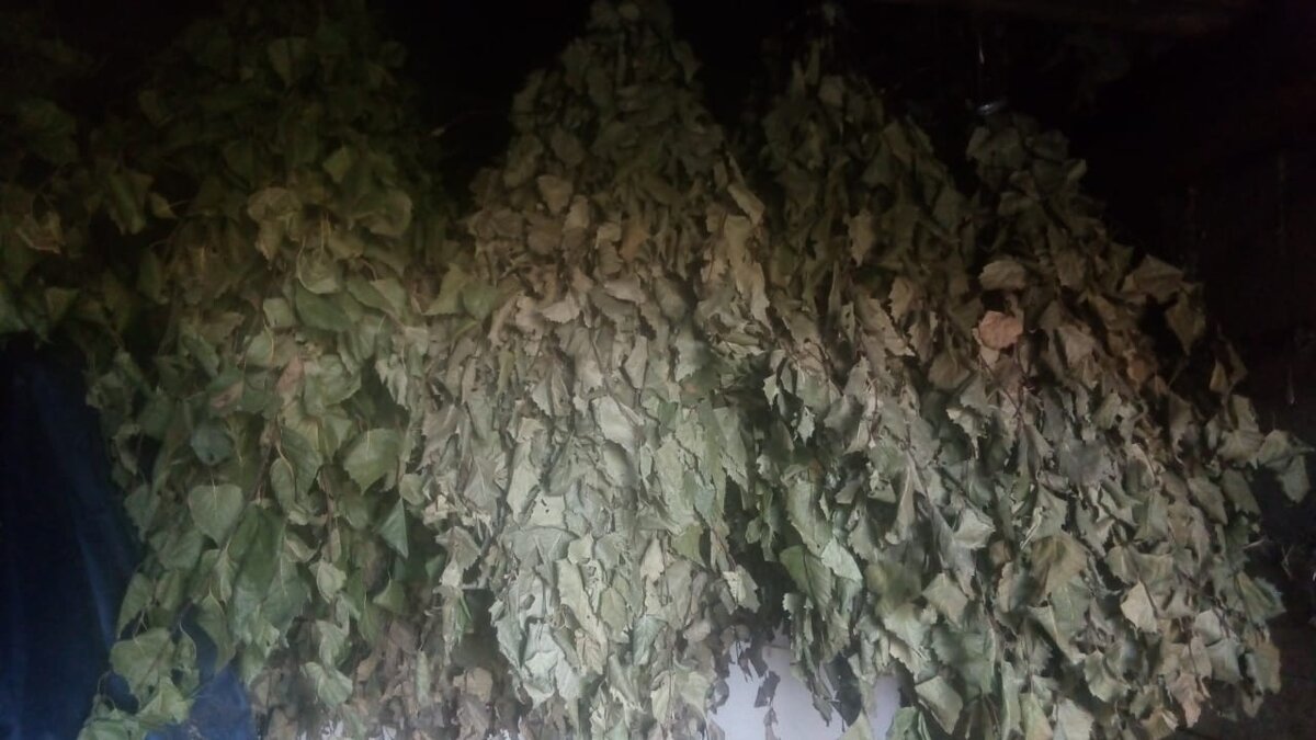 В предбаннике