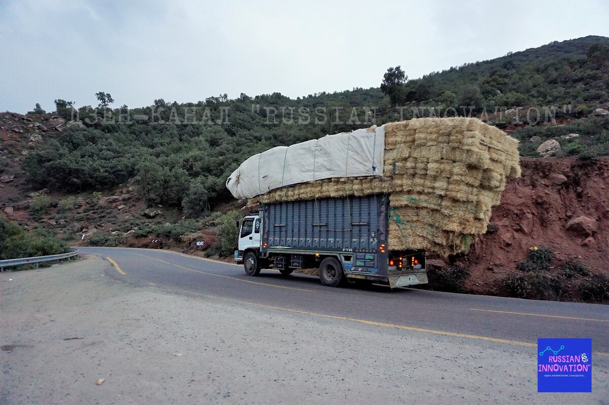 Фото: pixabay.com