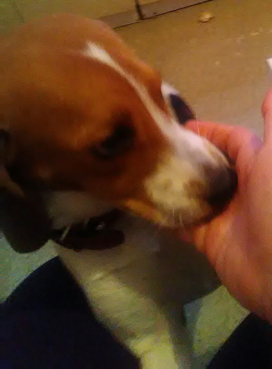 Здесь и далее Фото мои