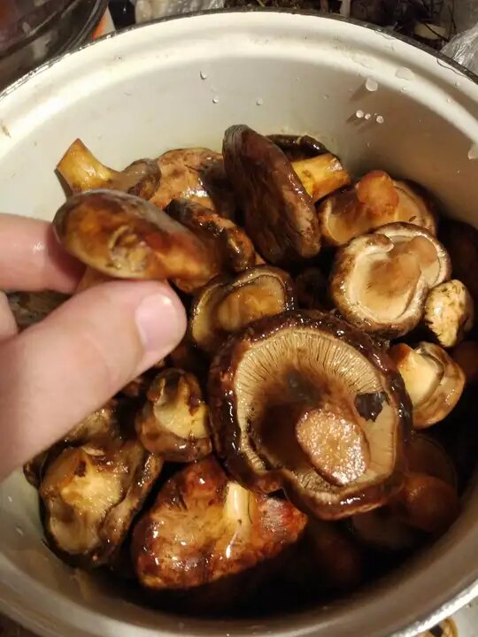 Незабываем промыть)