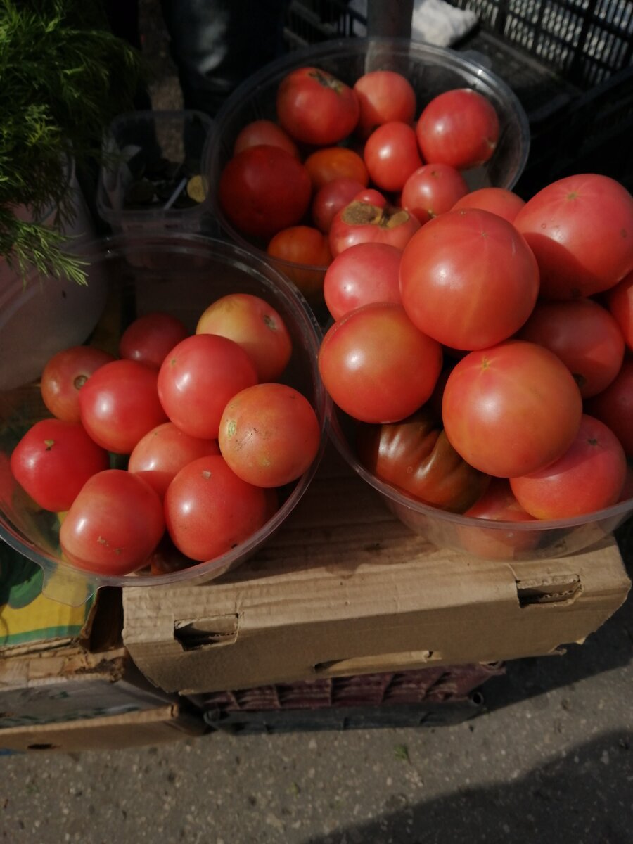 Личное фото.