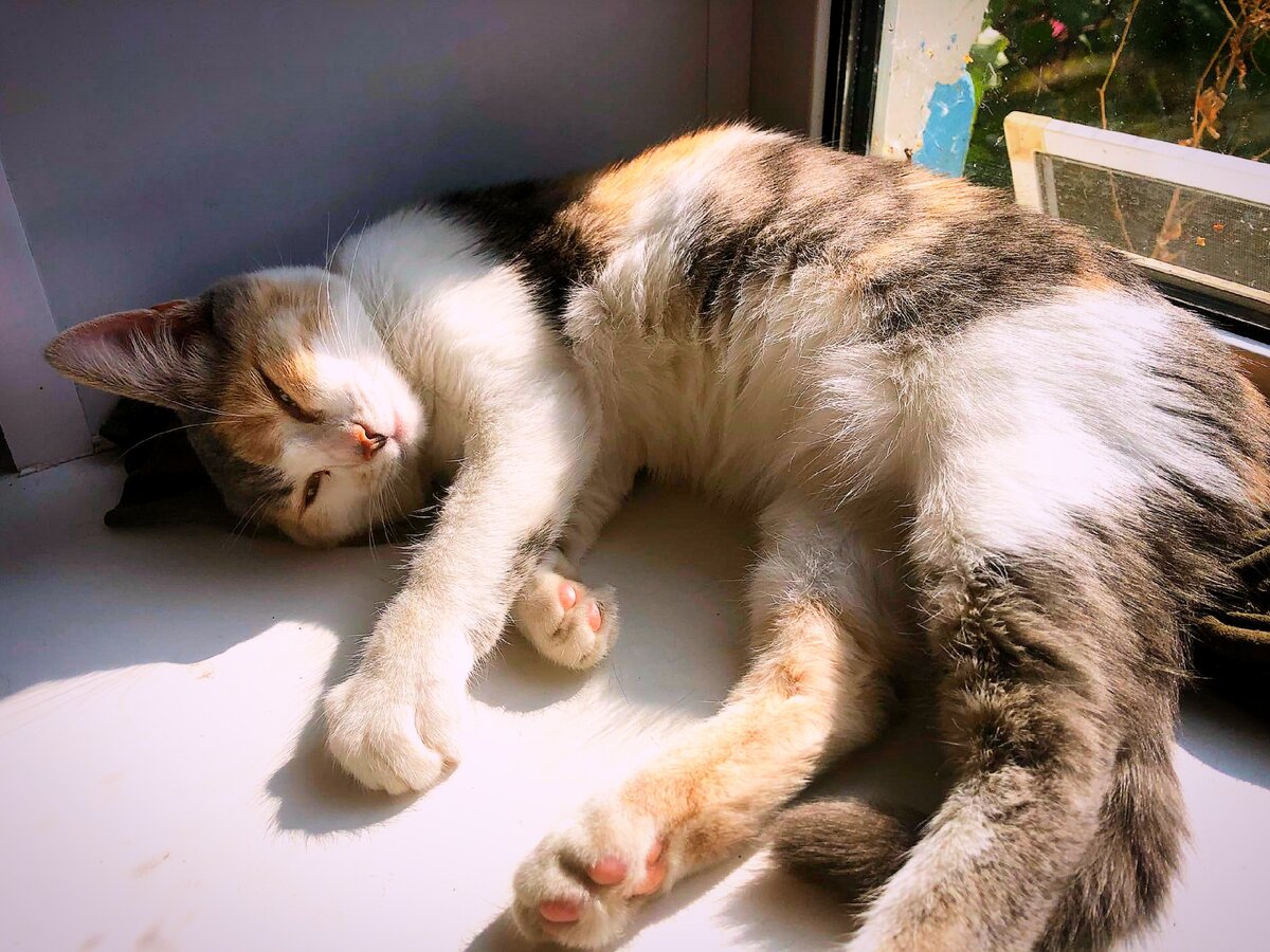 Любимое место