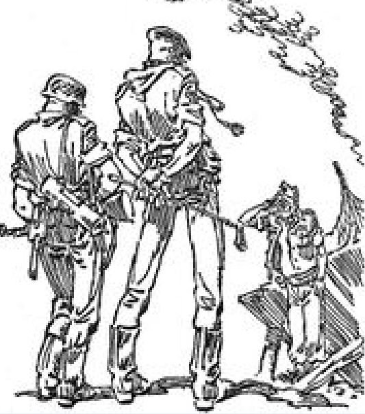 Дикобраз, Кот и Гепард.