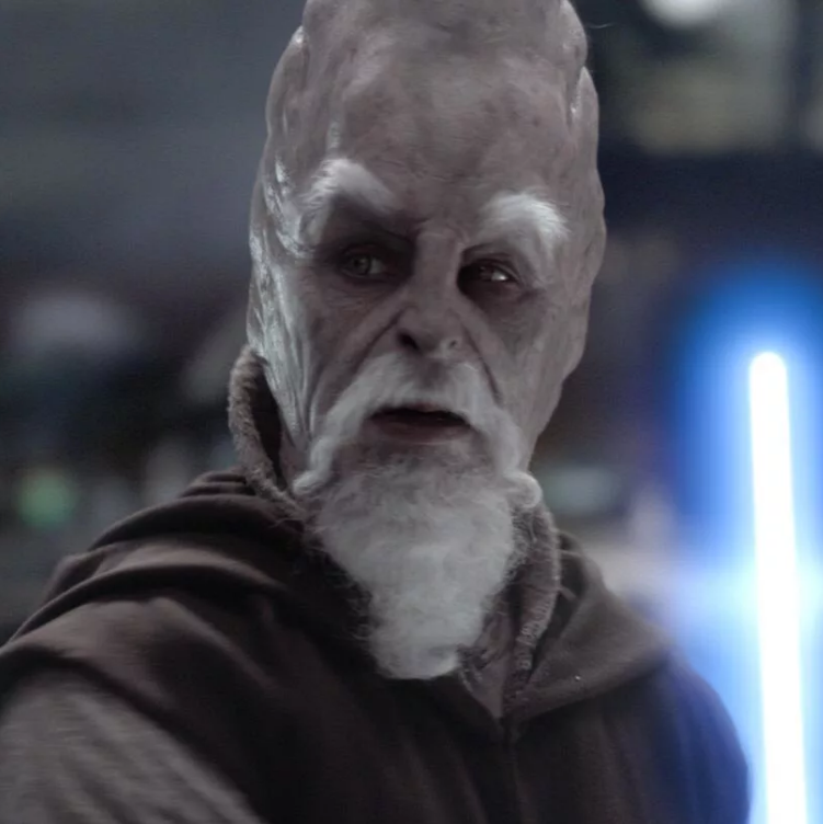 Самый известный представитель расы - Ки-Ади Мунди, мастер-джедай.