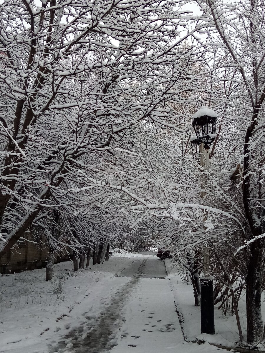 Жди меня, Нарния... 