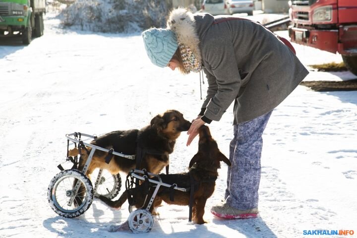 Фото из интернета