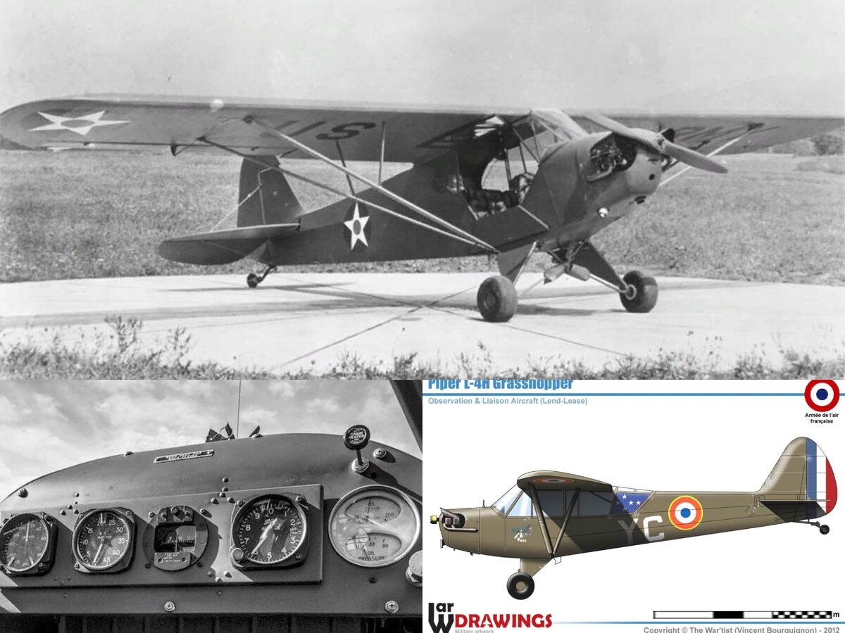 Piper L-4 Grasshopper 