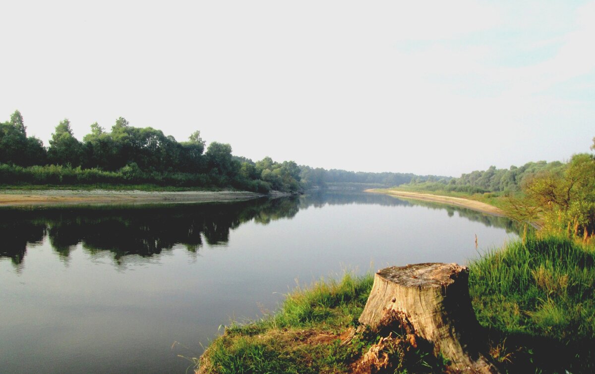 Очень красивое место)))река ПРИПЯТЬ)))