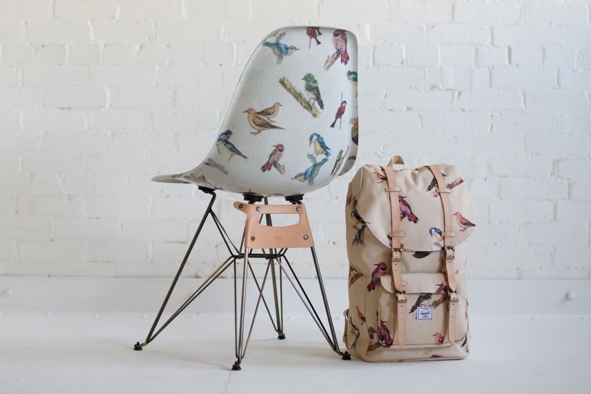 Стул Modernica Shell Eiffel из коллекции Birds Of Herschel