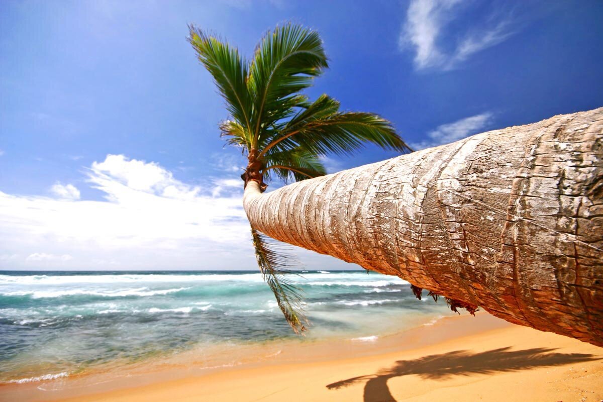 Источник https://avatars.mds.yandex.net/get-zen_doc/249065/pub_5c10f13ceb86bc00a938d491_5c10f1748f486600b085f109/scale_1200