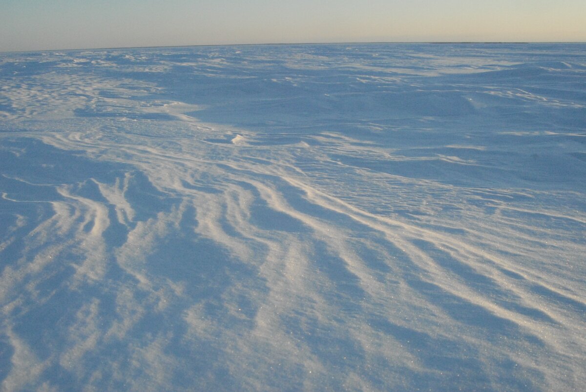 Эти узоры возникают под влиянием солнца и ветра во второй половине зимы. Фото автора.