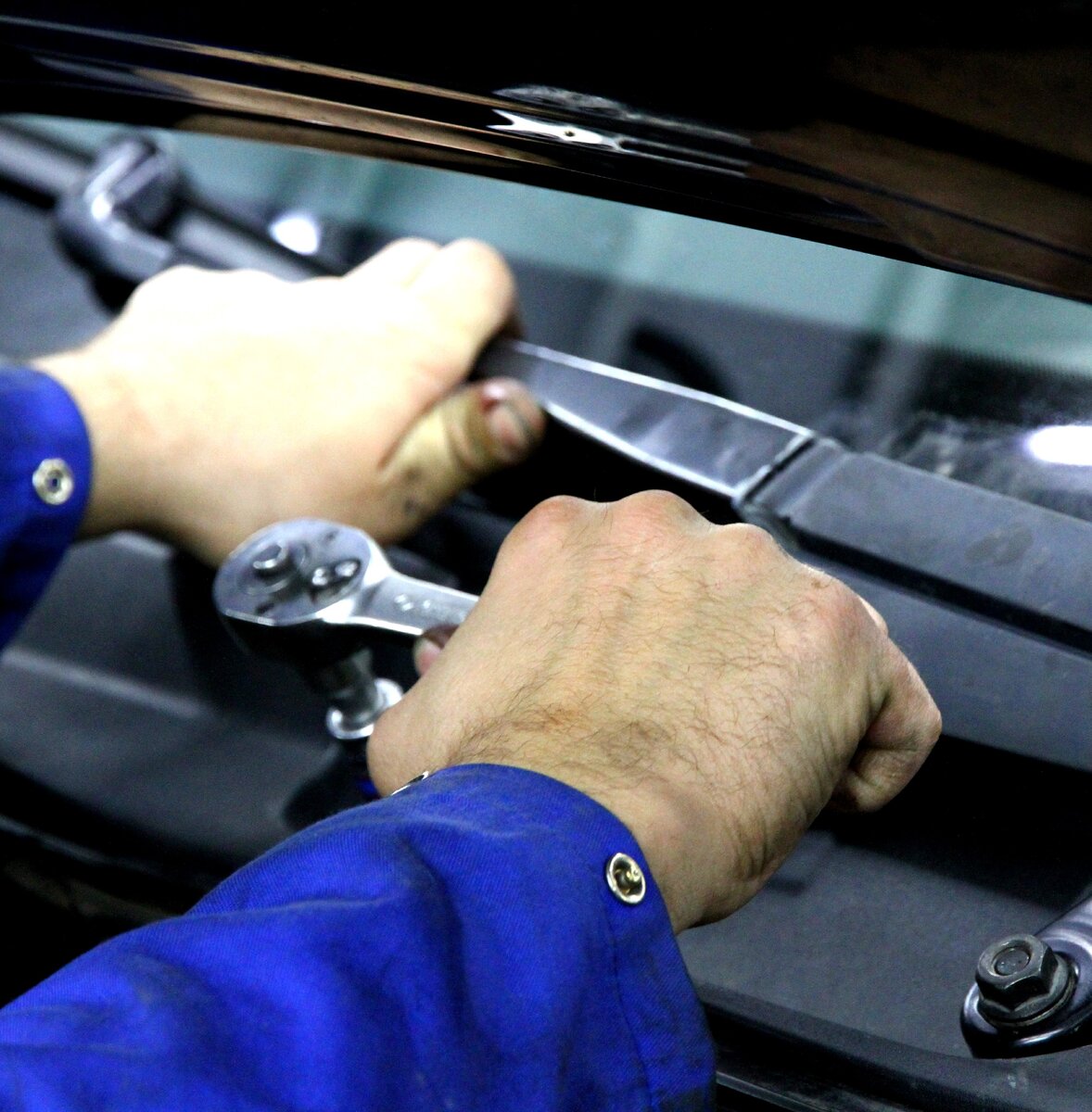 Фото с Яндекс картинки