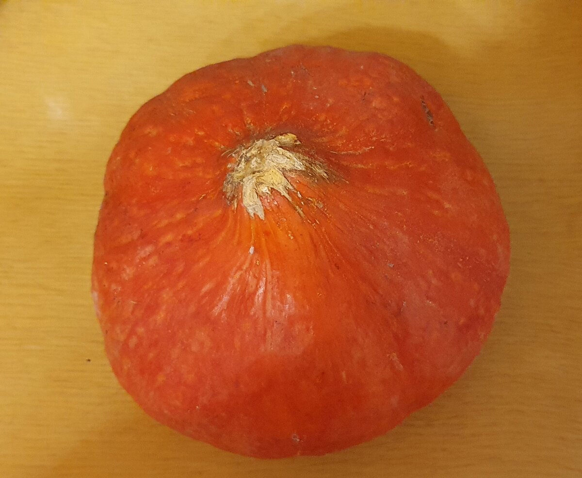 Вкусная тыква. Фото автора