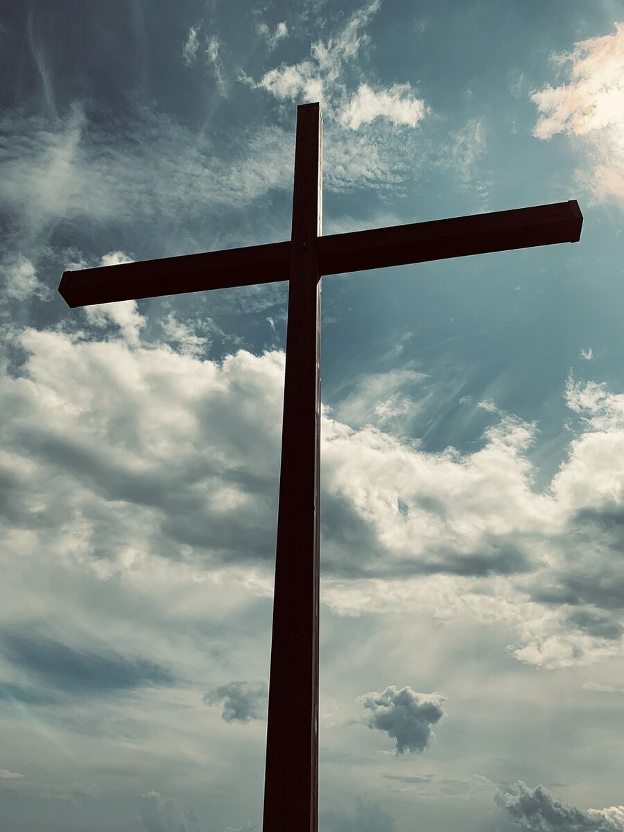 Ссылка на источник фотографии: https://pixabay.com/ru/users/paolaserri-9465470/