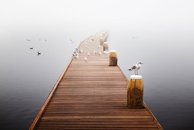 Фото Клэр Дропперт с pinterest.ru