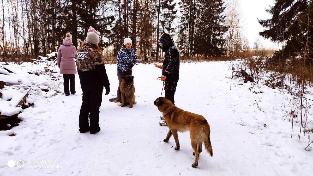 Ура, идём гулять