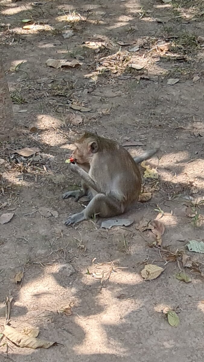 Конфету есть :)