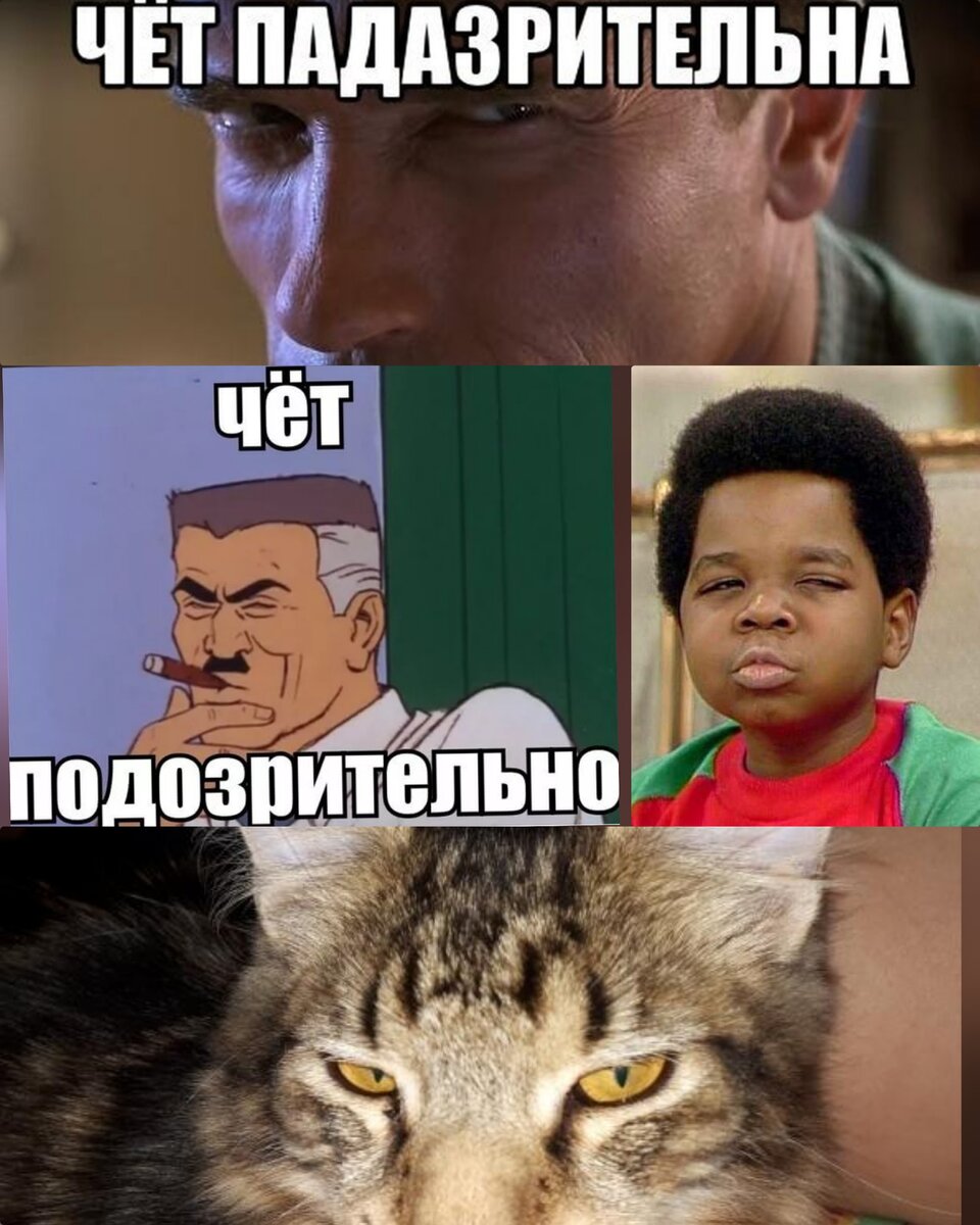 Коллаж для примера.