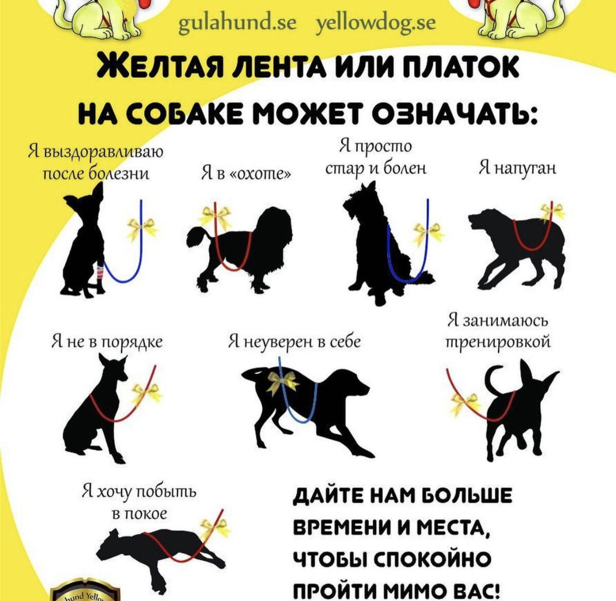 Картинка из сети Интернет