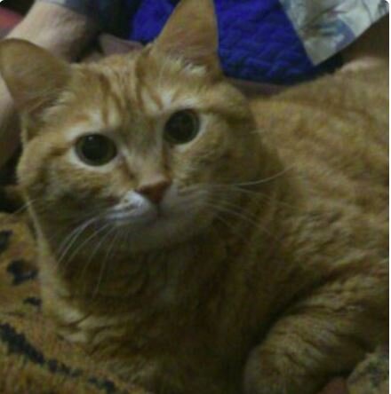 Очень редкое имя — Ромуальд