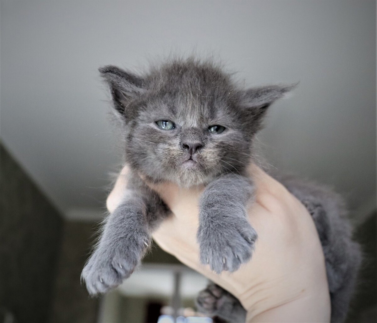 Фото из личного архива. Тайфуну около 1 месяца