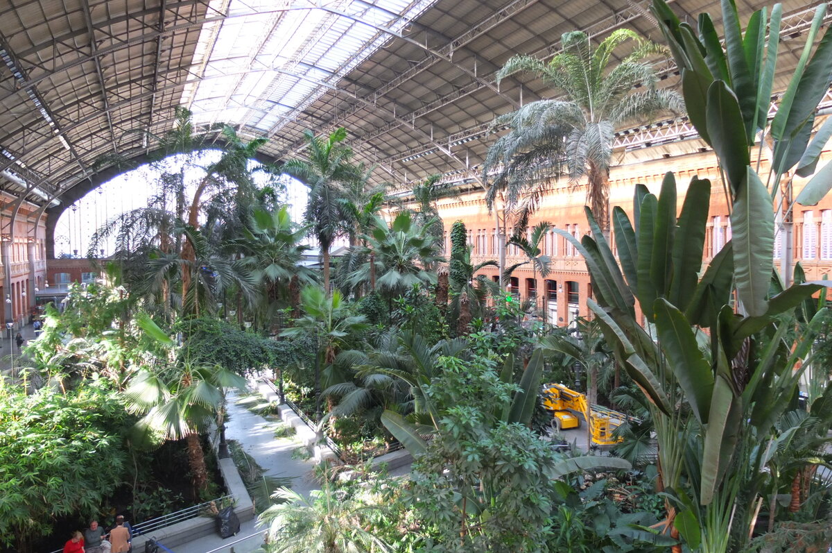 Когда то здесь были просто рельсы.