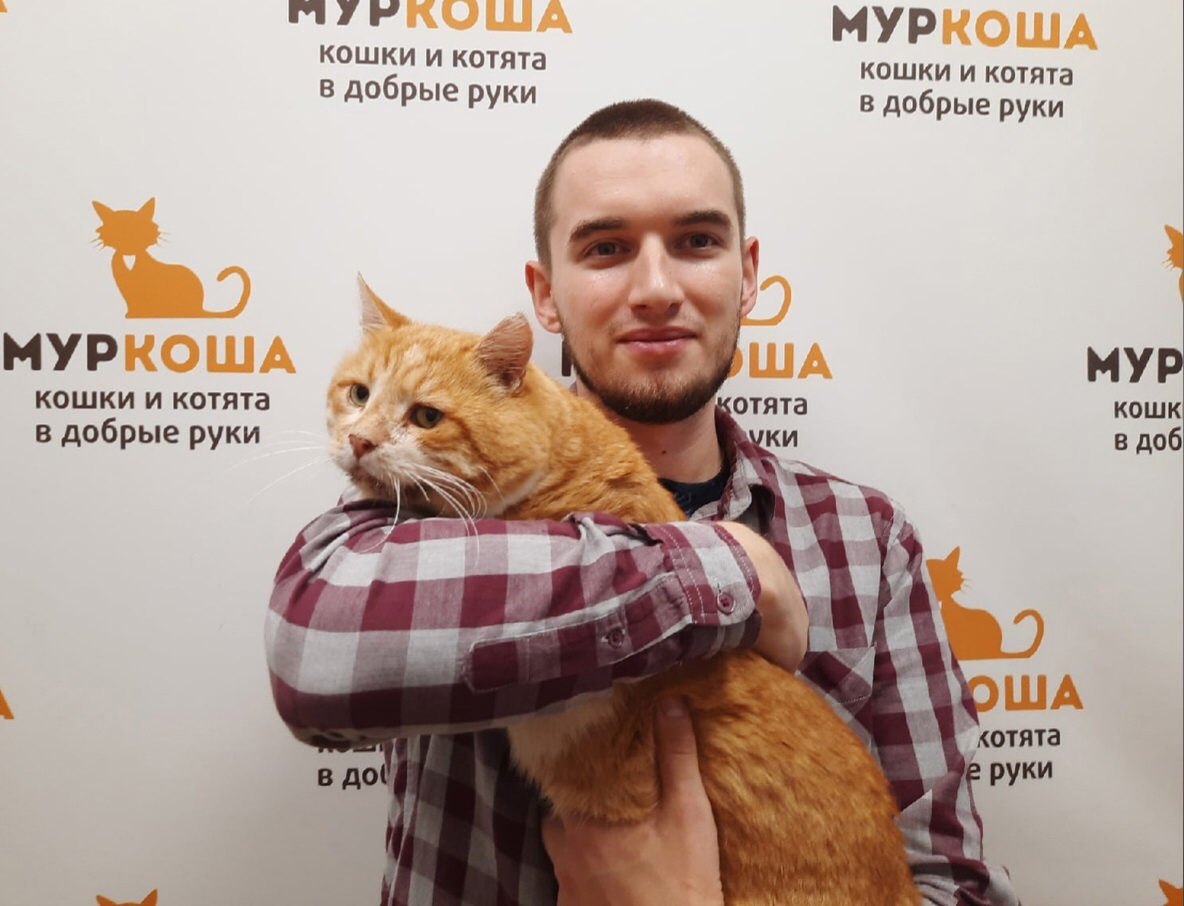 китики. коте му. красивый кот. коте му. май талкинг том.