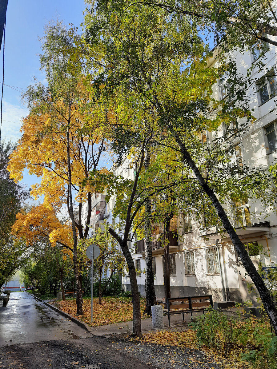 Немного наших дворовых осенних пейзажей