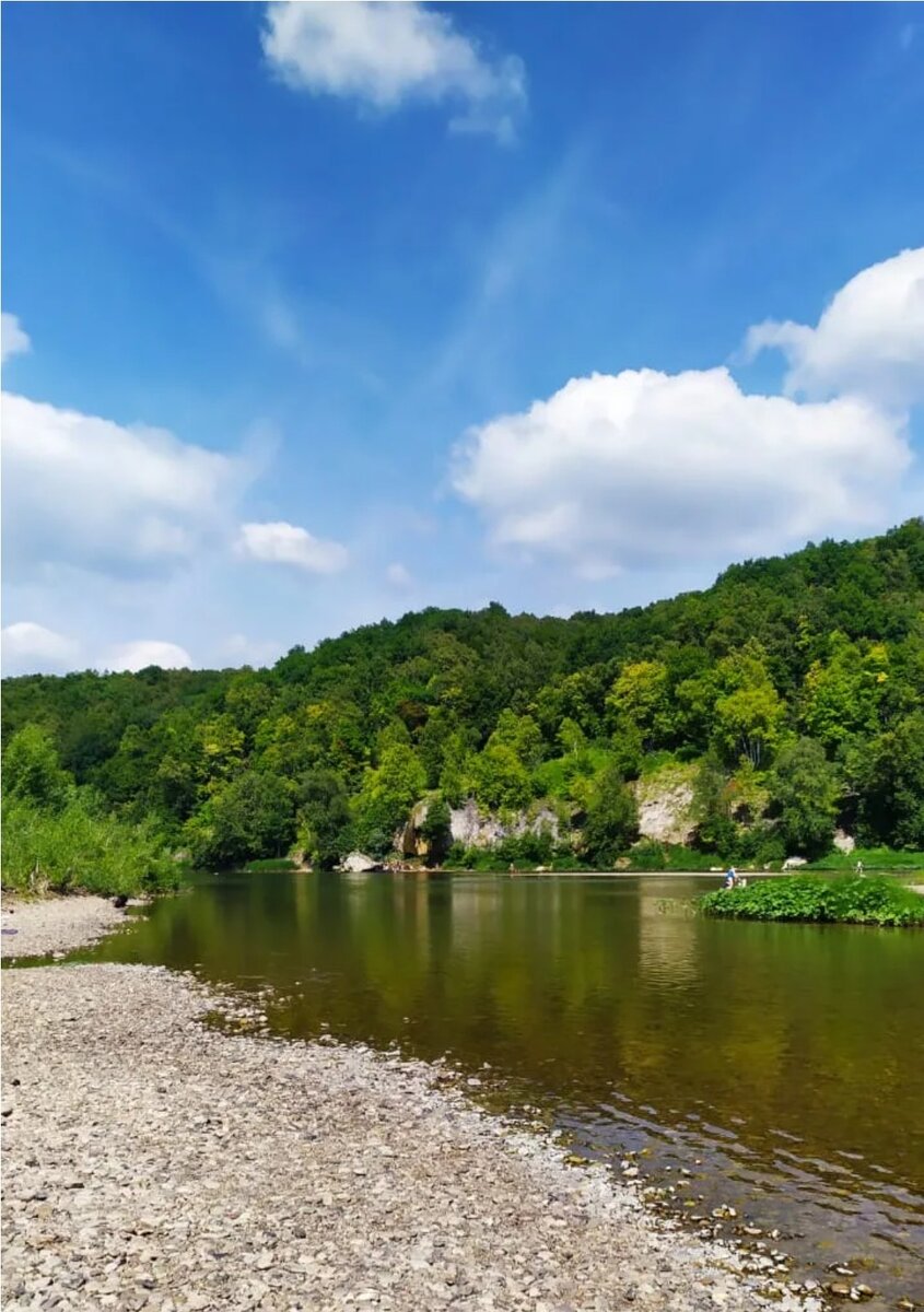 Фото из интернета (свои качеством похуже)