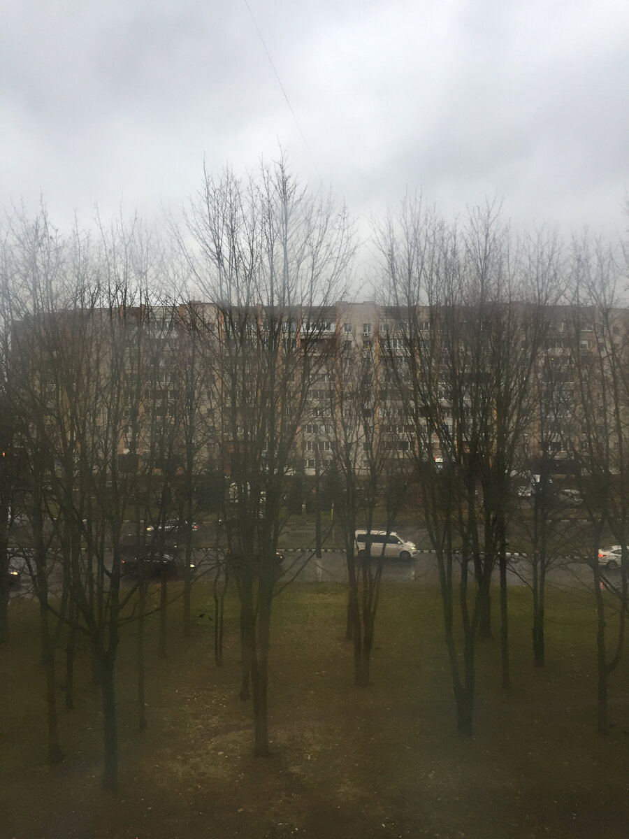 Такой вот вид из окна. Дорога. Фото автора.